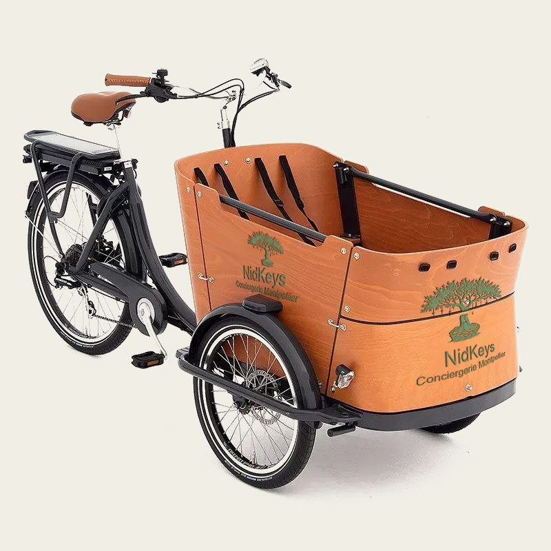 velo cargo
