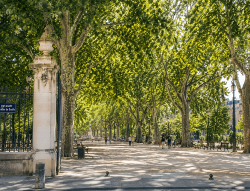 Esplanade Charles-de-Gaulle Montpellier : le guide complet de votre visite
