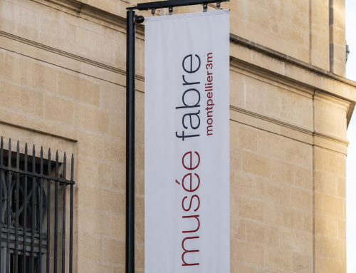 Musée Fabre Montpellier : le guide complet de votre visite